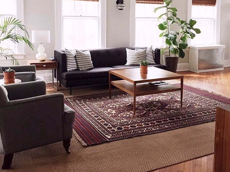 Do steam cleaners remove mold from Soumak Kilims?