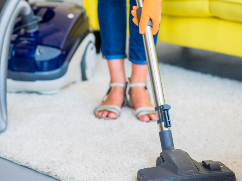 How to clean a Wool Baluchi Rug Efficiently?