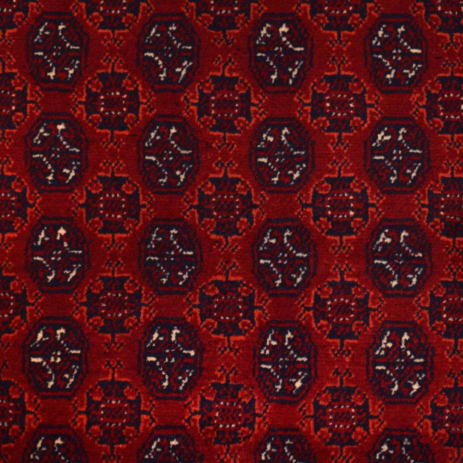 Hand Knotted Khoja Roshnai Carpet 3' 3" x 5' 1" ft / 100 x 156 cm - No. 1345