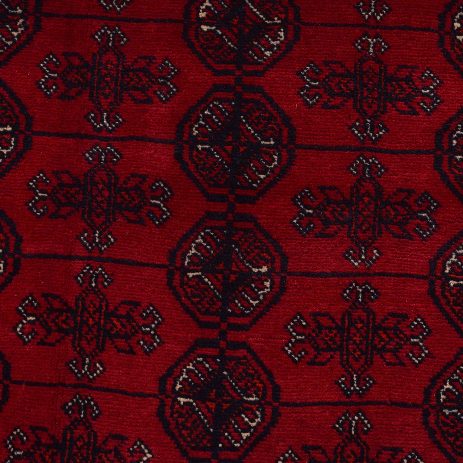 Oriental Bokhara Rug 8' 3" x 10' 10" ft / 252 x 331 cm - No. 9246