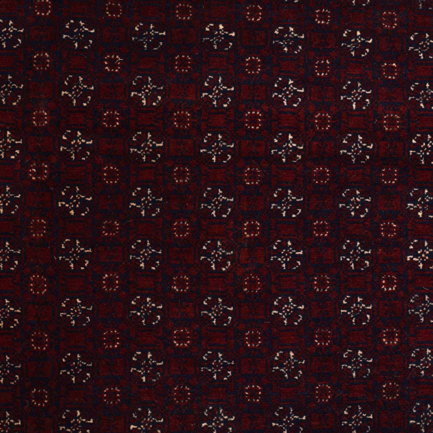 Hand Knotted Khoja Roshnai Carpet 6' 5" x 9' 7" ft / 196 x 291 cm - No. R22268