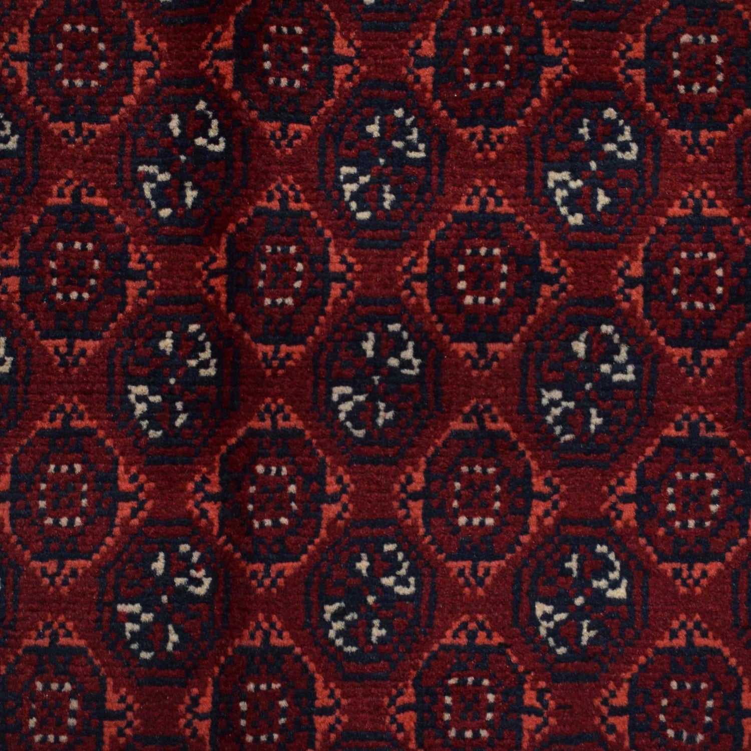 Oriental Handmade Khoja Roshnai Rug 5' 0" x 6' 1" ft / 153 x 186 cm - No. Y14714